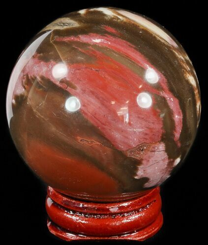 Colorful Petrified Wood Sphere #49748